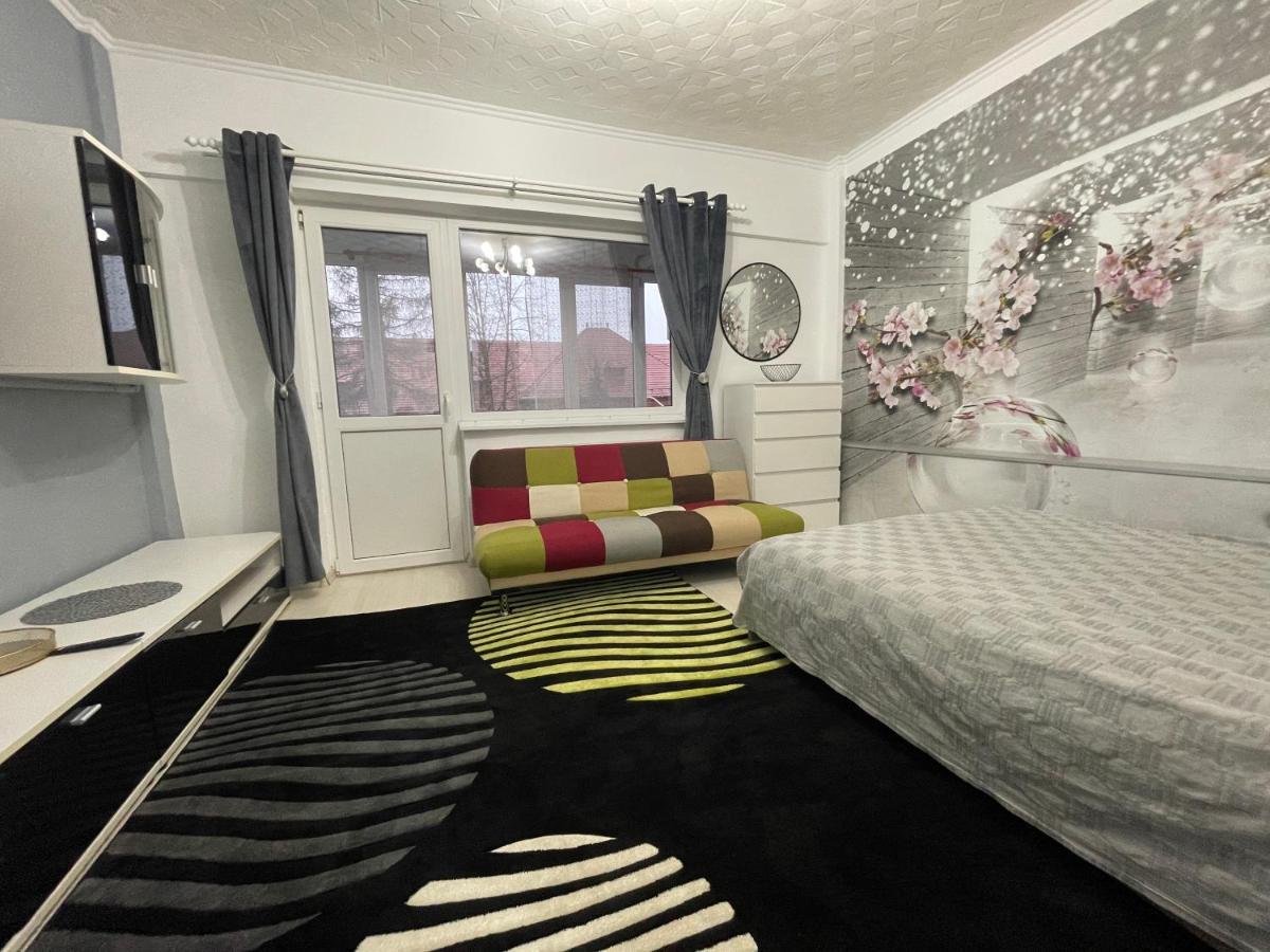 Central Colors Studio Petroşani Εξωτερικό φωτογραφία