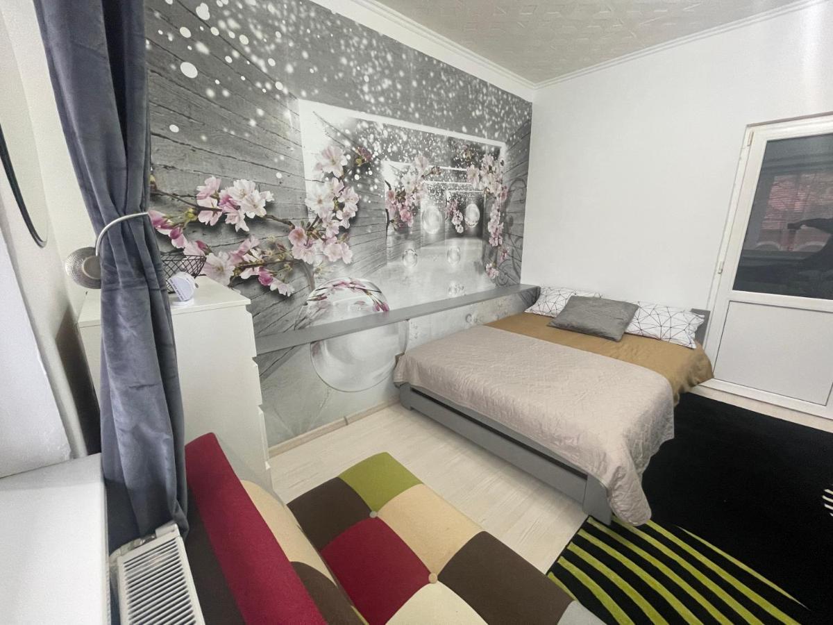Central Colors Studio Petroşani Εξωτερικό φωτογραφία